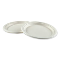 Bagasse Dinnerware, Plate, 9&quot; Dia, White, 500/carton